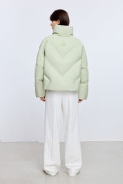 #color_Chartreuse